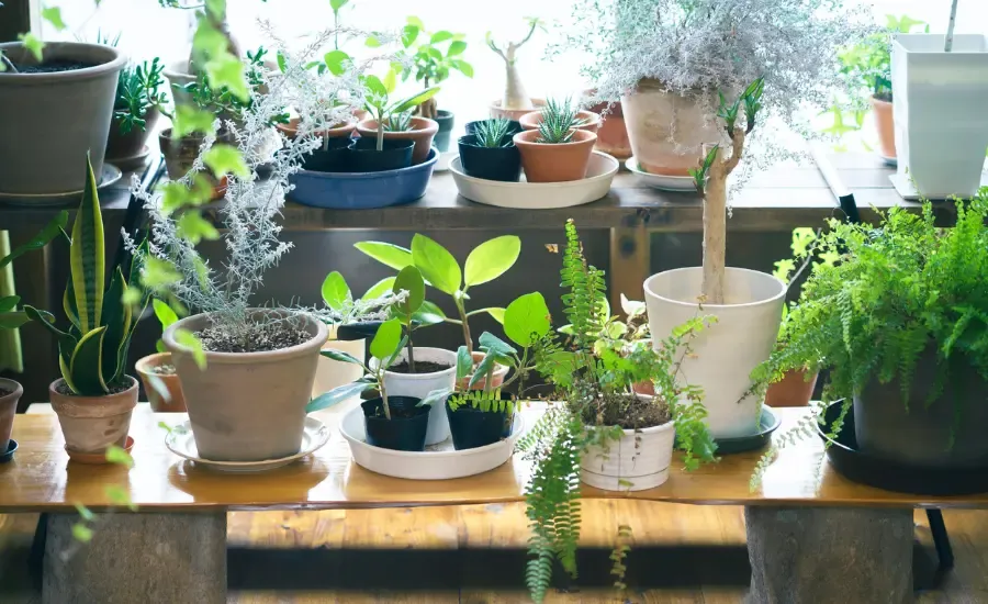 best hobbies for working women.webp