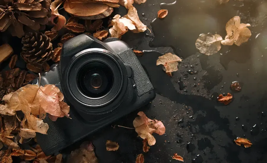 best hobbies for working women.webp