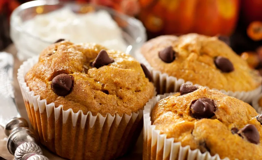 pumpkin chocolate chip muffins