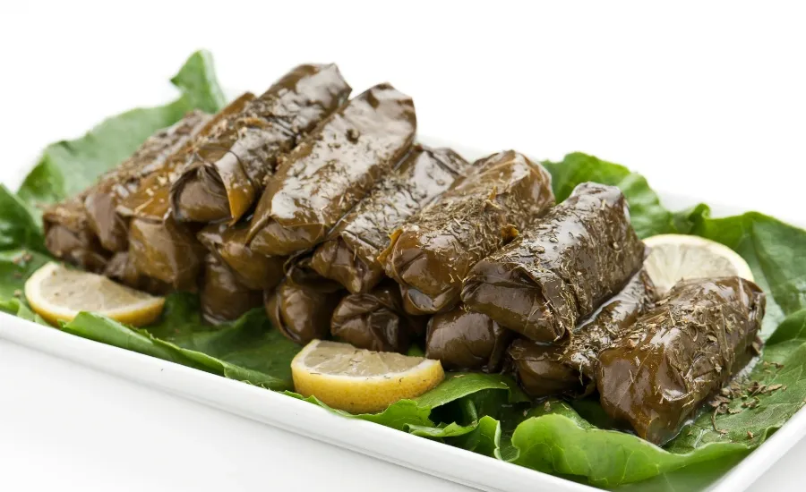 dolmades greek recipe