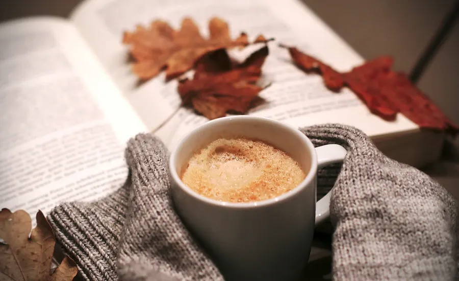 cozy book for fall