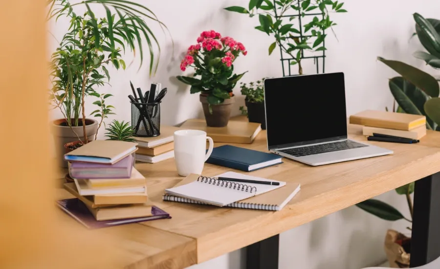 fall essentials to buy indoor plants