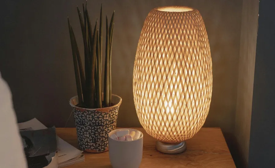 fall essentials to buy light therapy lamp