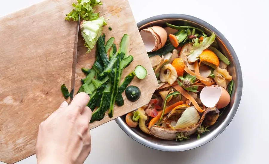 food waste.webp