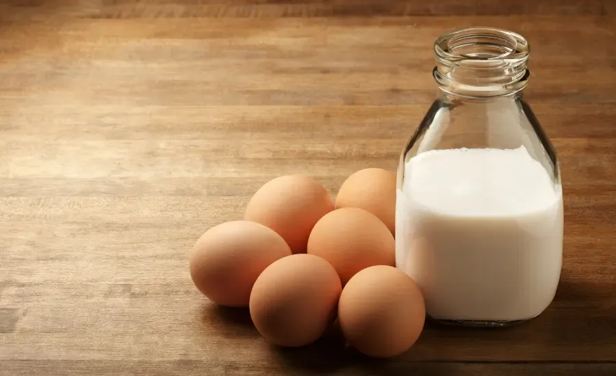 quiche lorraine recipe