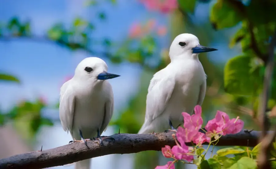 things we love about april